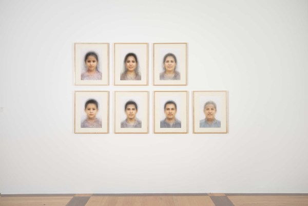 Narcisos (Fenotipos Promedio) by Miguel Rodriguez Sepulveda