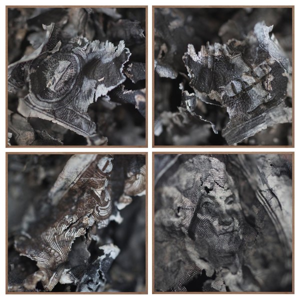 Demasiado impaciente para ver poesía en los ritmos de la naturaleza by Miguel Rodriguez Sepulveda