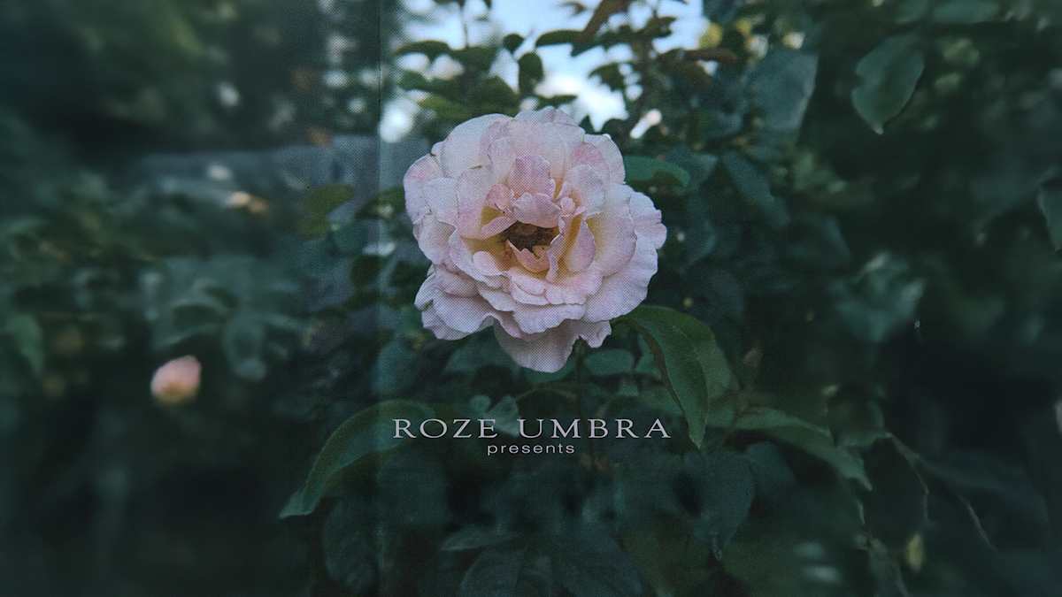 The Visionary Roze Gift: An Open Call for Heart-Centered Artists