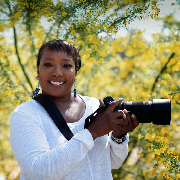 Sheryl's Virtual Garden